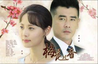 梅花儿香在线观看,在线共赴梅花盛宴  第3张