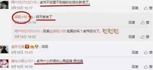 卓伟爆料明星回归视频,明星神秘回归，幕后故事大揭秘！  第3张