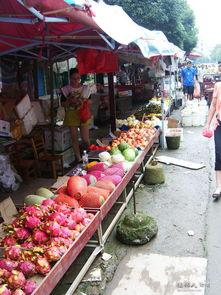 永福县新闻爆料网址,最新动态一网打尽