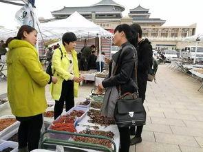 阿拉善展会爆料信息最新,绿色科技盛宴即将启幕